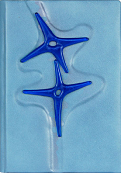 Stammbuch Blau Stern